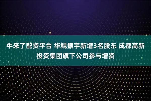 牛来了配资平台 华鲲振宇新增3名股东 成都高新投资集团旗下公司参与增资
