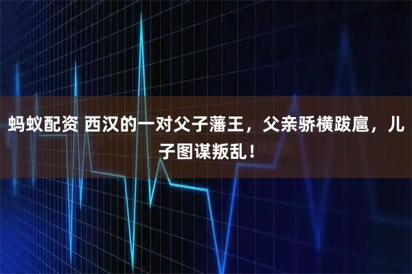 蚂蚁配资 西汉的一对父子藩王,父亲骄横跋扈,儿子图谋叛乱!